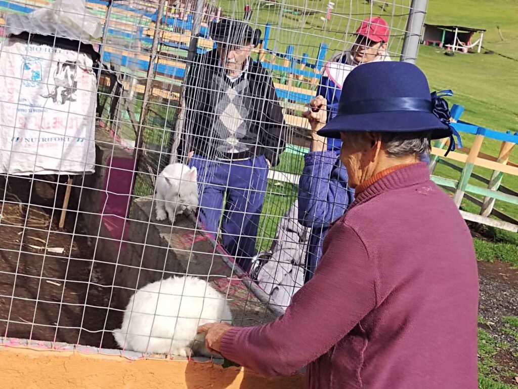 Adultos mayores residentes observando conejos durante visita recreativa a hacienda.