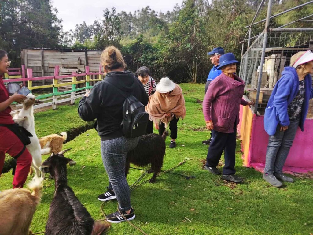 Adultos mayores en actividad recreativa acompañados del personal de enfermería en paseo a una hacienda.